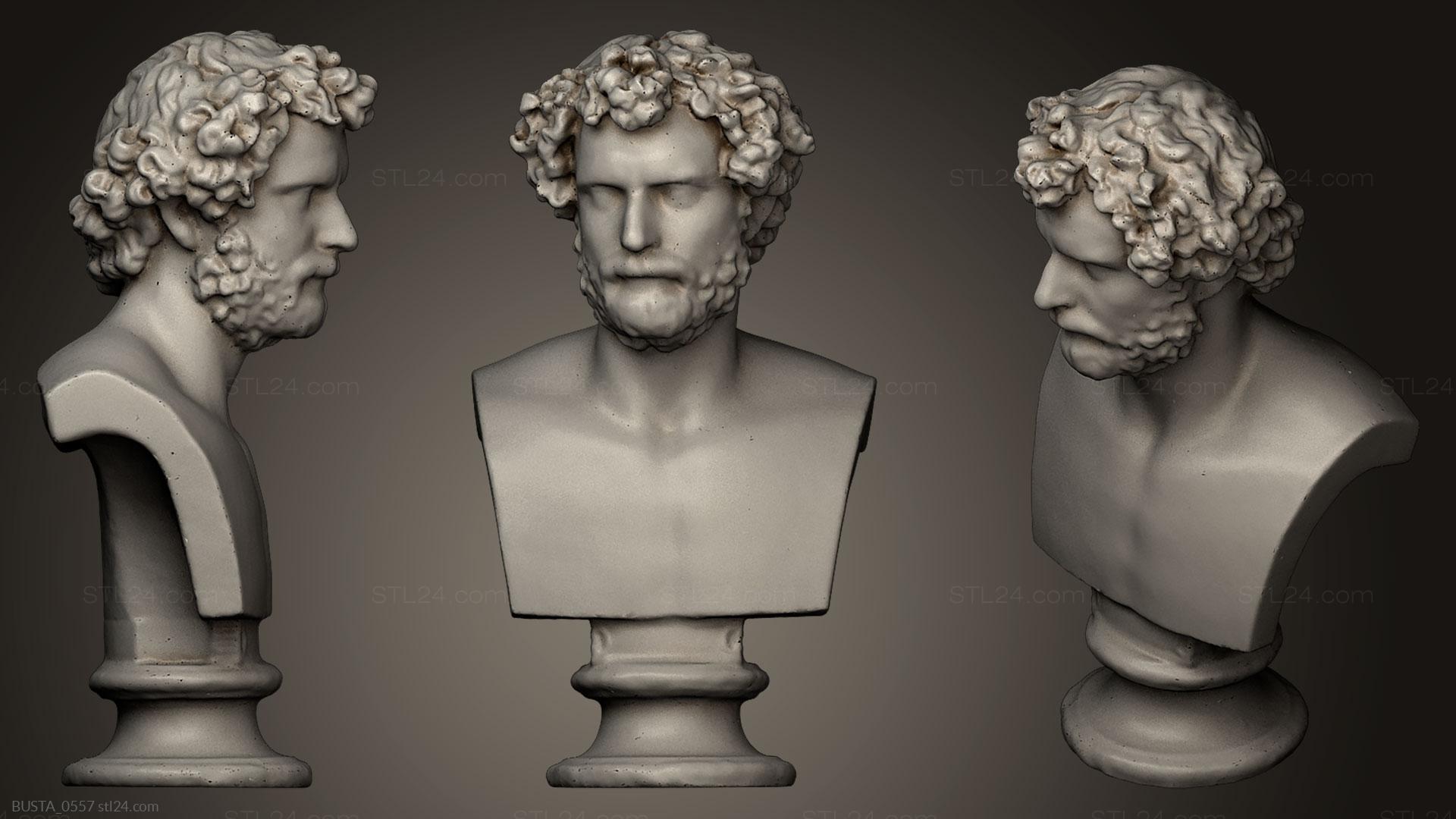 Бюсты и головы античные и исторические (Неизвестный Мужчина 28, BUSTA_0557) 3D модель для ЧПУ станка